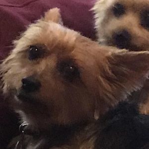 Meet your Posher, Christine